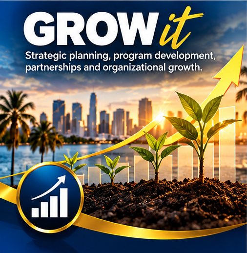 Grow it: Strategic planning, program development, partnerships and organizational growth.